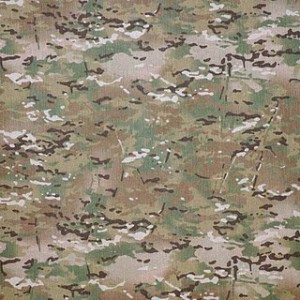 Multicam