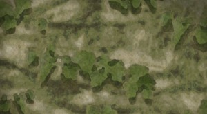 camouflage_military_texture-1565551.jpg!d.jpg